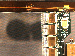 SurveyImage_19_04.png
