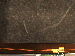 SurveyImage_23_05.png