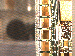 SurveyImage_25_03.png