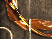 SurveyImage_29_04.png