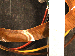 SurveyImage_30_04.png