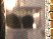 SurveyImage_01_03.png