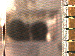 SurveyImage_03_03.png