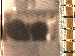 SurveyImage_05_03.png