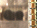 SurveyImage_07_03.png