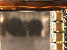SurveyImage_07_04.png