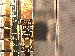 SurveyImage_08_03.png