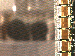 SurveyImage_09_03.png