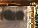 SurveyImage_09_04.png