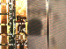 SurveyImage_10_03.png