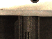 SurveyImage_10_06.png