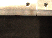 SurveyImage_12_06.png