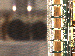 SurveyImage_15_03.png
