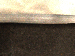 SurveyImage_20_06.png