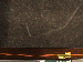 SurveyImage_23_05.png