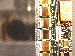 SurveyImage_25_03.png