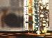 SurveyImage_27_02.png