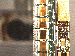 SurveyImage_27_03.png