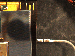 SurveyImage_28_04.png
