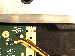 SurveyImage_28_06.png