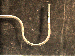 SurveyImage_29_02.png