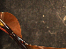 SurveyImage_29_05.png
