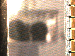 SurveyImage_01_03.png