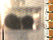SurveyImage_03_03.png