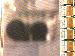 SurveyImage_05_03.png