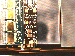 SurveyImage_06_02.png