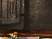 SurveyImage_06_05.png