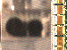 SurveyImage_07_03.png