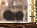 SurveyImage_09_02.png