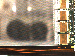 SurveyImage_11_02.png