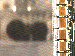 SurveyImage_11_03.png