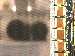 SurveyImage_13_03.png