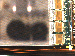 SurveyImage_15_02.png