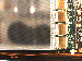 SurveyImage_17_02.png
