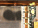 SurveyImage_19_04.png