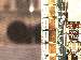 SurveyImage_23_03.png
