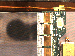 SurveyImage_23_04.png