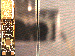 SurveyImage_24_03.png