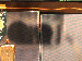 SurveyImage_24_04.png