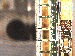 SurveyImage_25_03.png
