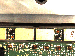 SurveyImage_26_06.png