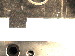 SurveyImage_29_01.png