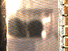SurveyImage_01_03.png