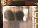 SurveyImage_01_04.png