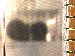 SurveyImage_03_03.png