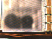 SurveyImage_05_02.png